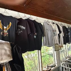 75 harley shirts/medium