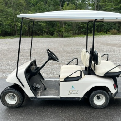 2001 EZ DXT golf cart