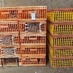 Chicken Crates