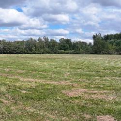 Three bedroom Chalet home on 40 acres and pole Barn and 2 Artesian wells