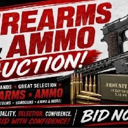 Auction Information
