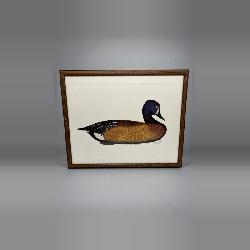 Carlton Plummer Original, Decoy, Framed