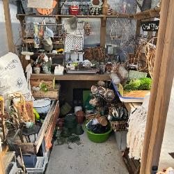 Green house 